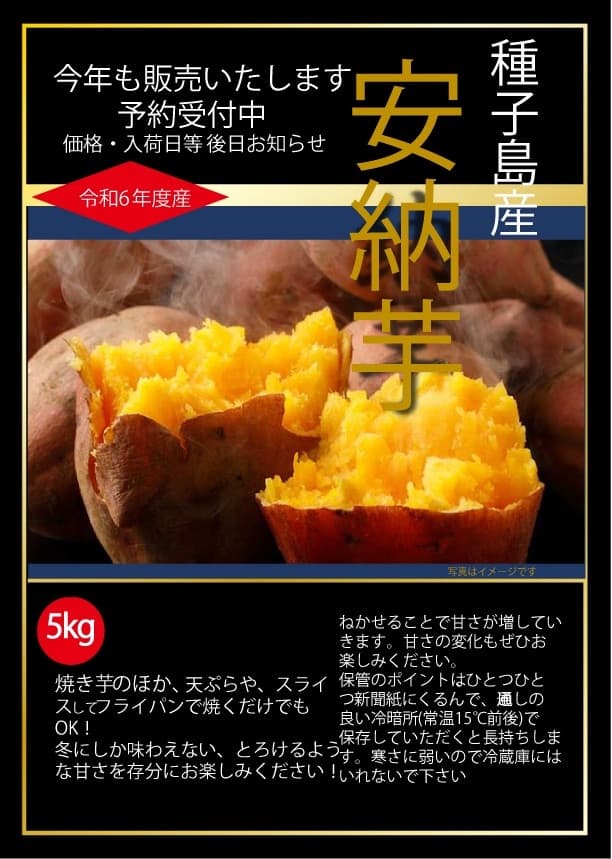 安納芋2023